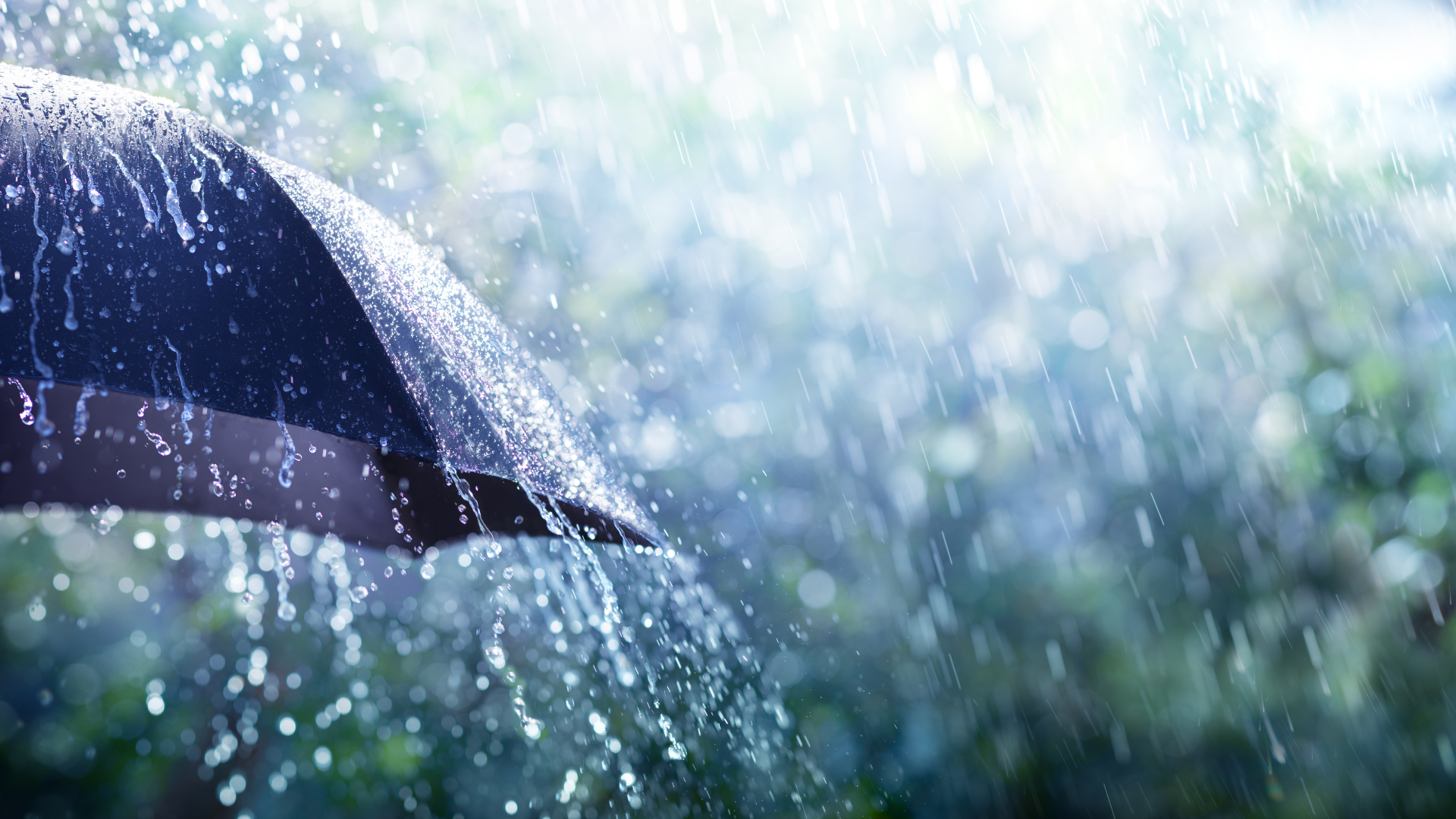 Legal Storm Brewing for Umbrella Companies After Significant Ruling