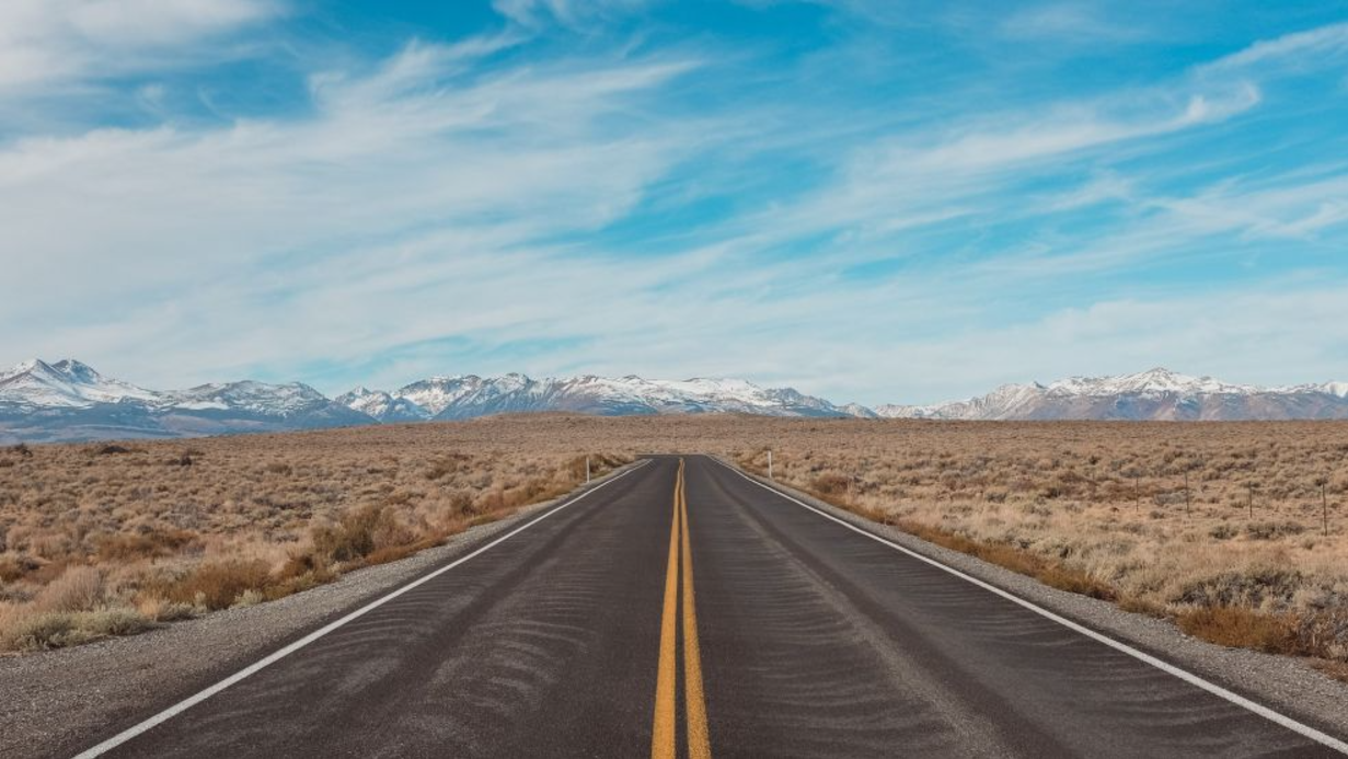 November Report on Jobs 2024